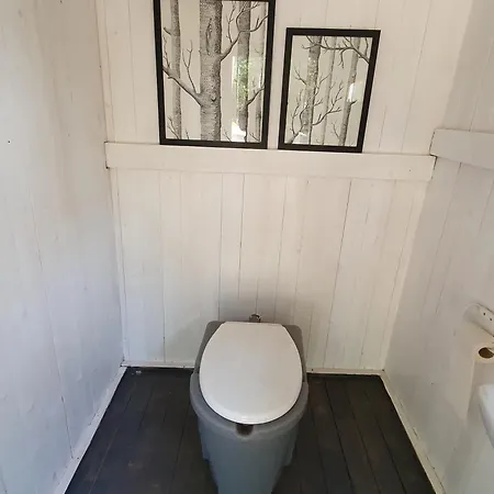 Pieni Katajaranta *